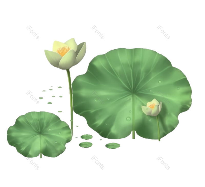 叶子图片,夏至元素,元素PNG,荷花免抠素材